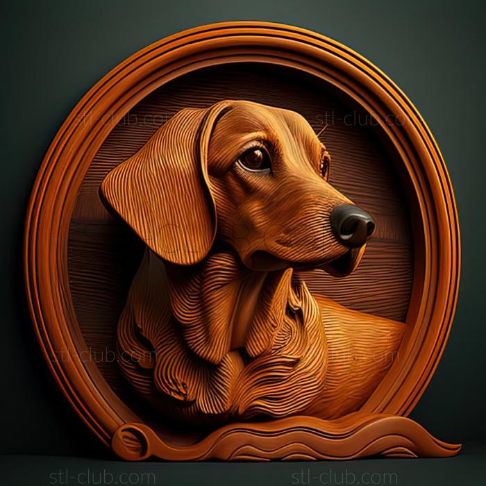 st Alpine Dachshund Hound dog